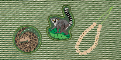 DerDieDas Green Planet