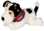 Preview: Hund Foxterrier Platz