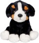 Preview: Hund Bruno