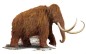 Preview: Tierkonturpuzzle Mammut fertig gelegt