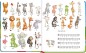 Preview: Dino Informationen