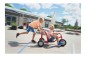 Preview: Viking Winther Bob Kart