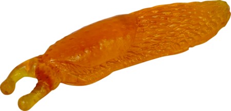 Spiegelburg Glibberschnecke