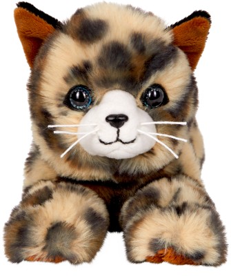 Katze Jasmin front