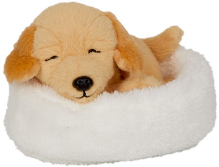 Kuscheltier Hündchen Isi