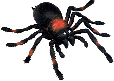 Spiegelburg Riesenspinne
