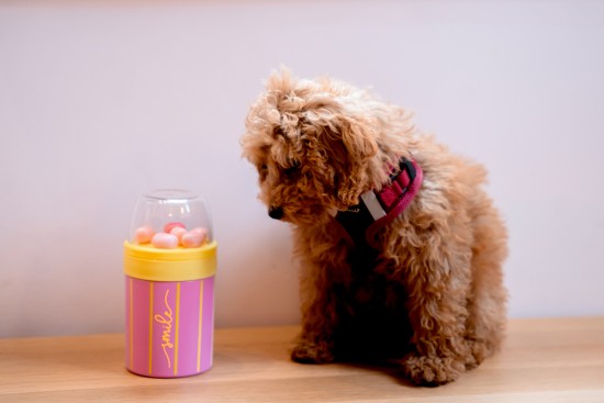 Preview: ohne Inhalt