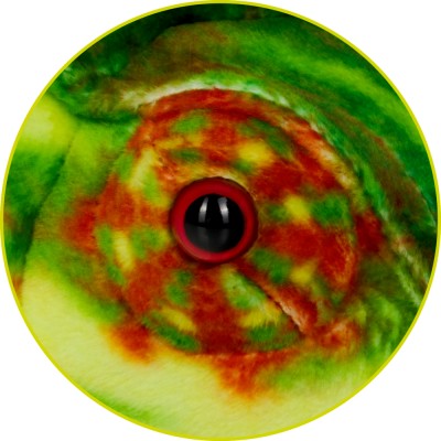 Preview: Detailansicht