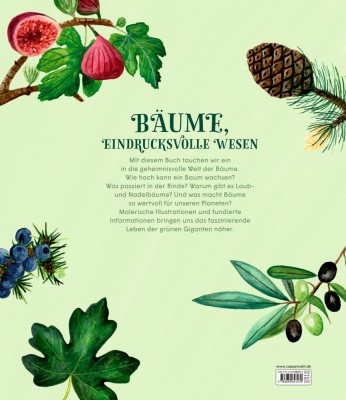 Rückseite