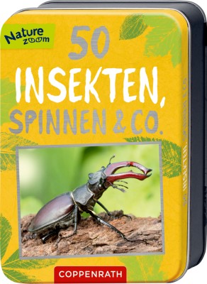 Karten 50 Insekten