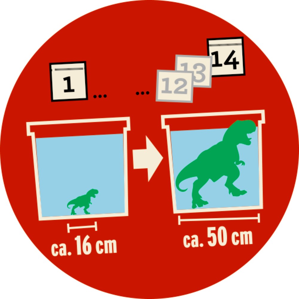 Riesen T-Rex Anleitung