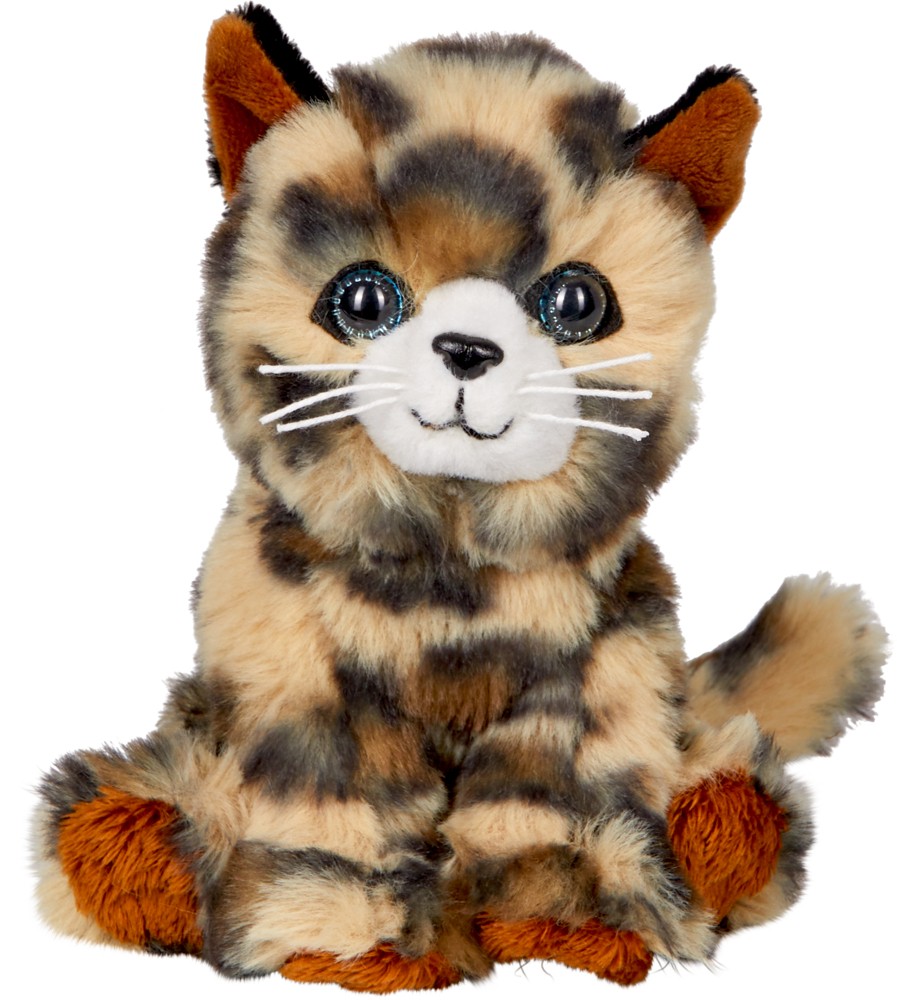 Katze Cleo