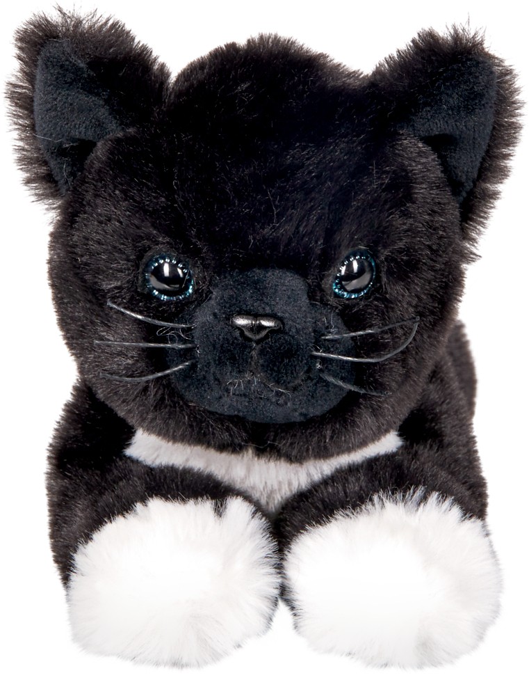 Kater Jack front