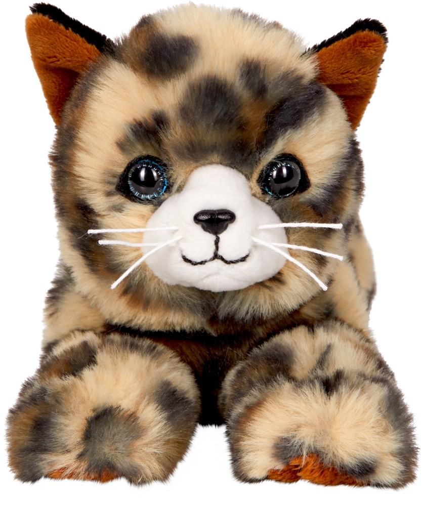 Katze Jasmin front