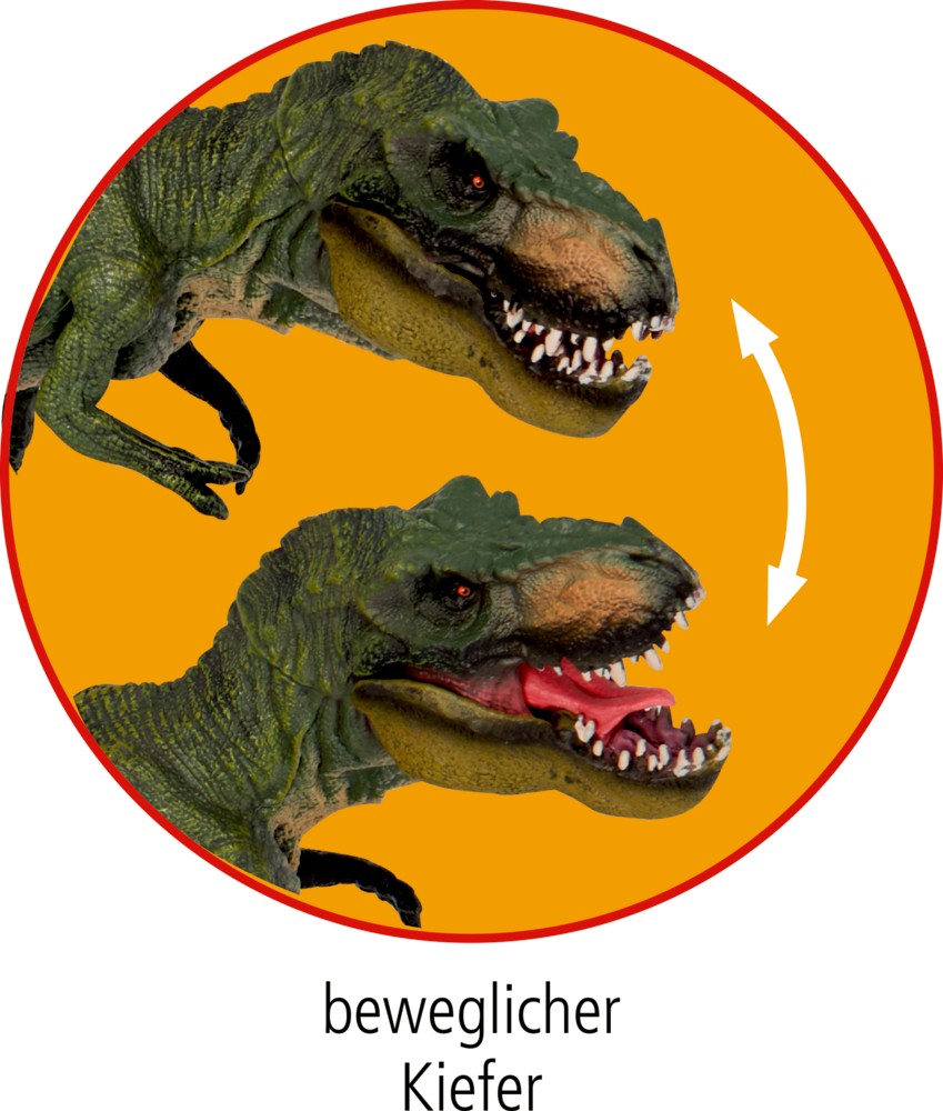 beweglicher Kiefer