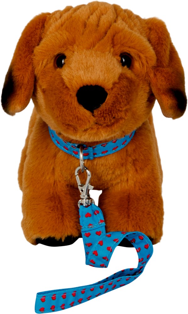 Joey mit Halsband und Leine