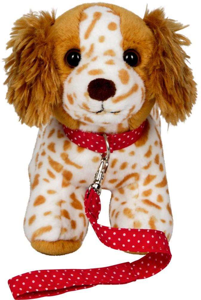 Frieda mit Halsband und Leine