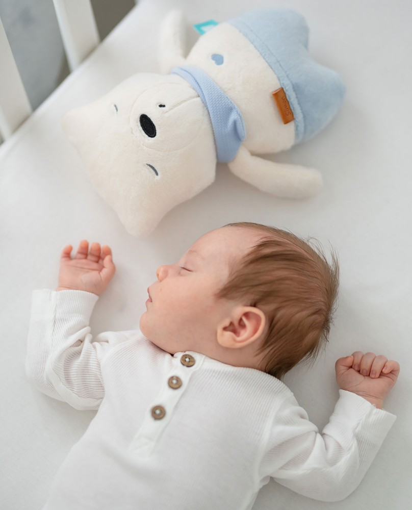 Teddy Simon Begleiter