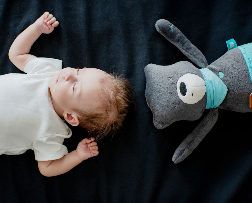 Teddy Matt Begleiter