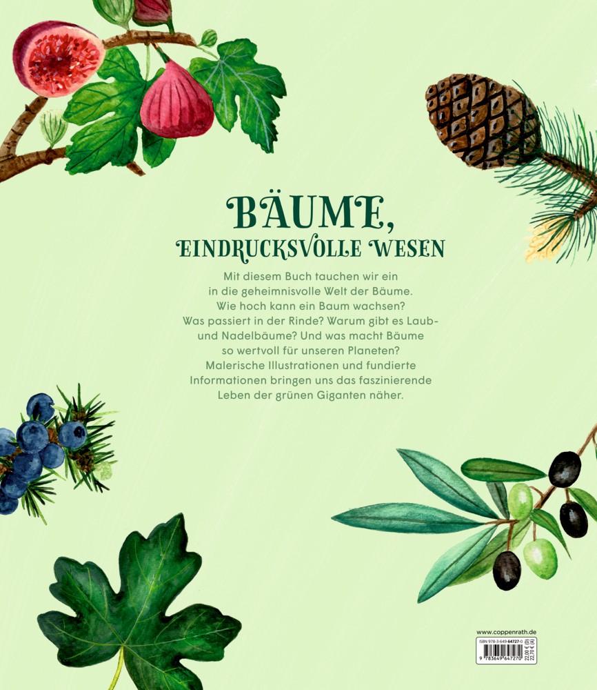 Rückseite