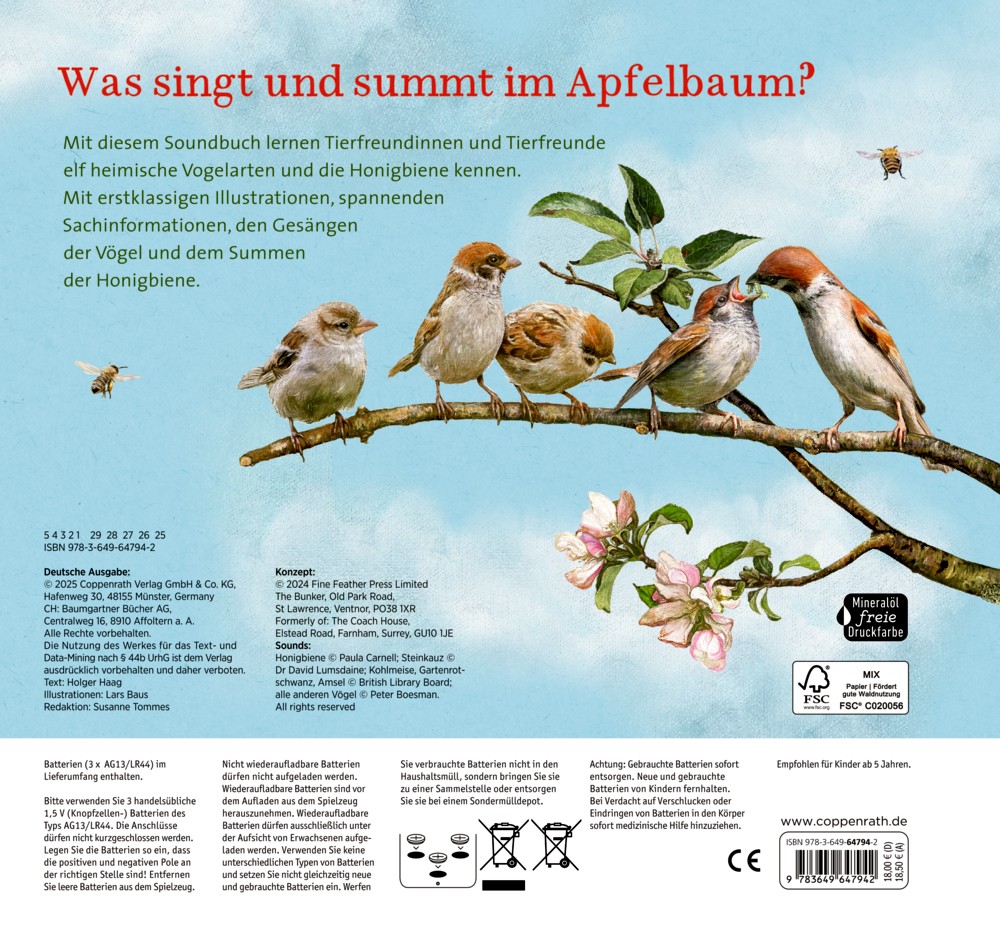Rückseite