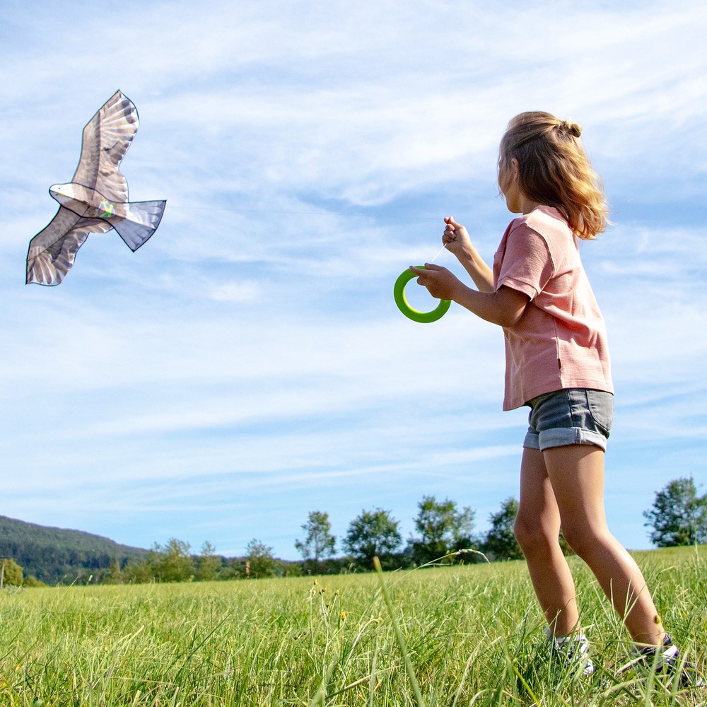 Flugdrache stabilisiert in der Luft, auch bei Wind