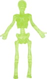 Spiegelburg Wild + Cool Glibber Skelett